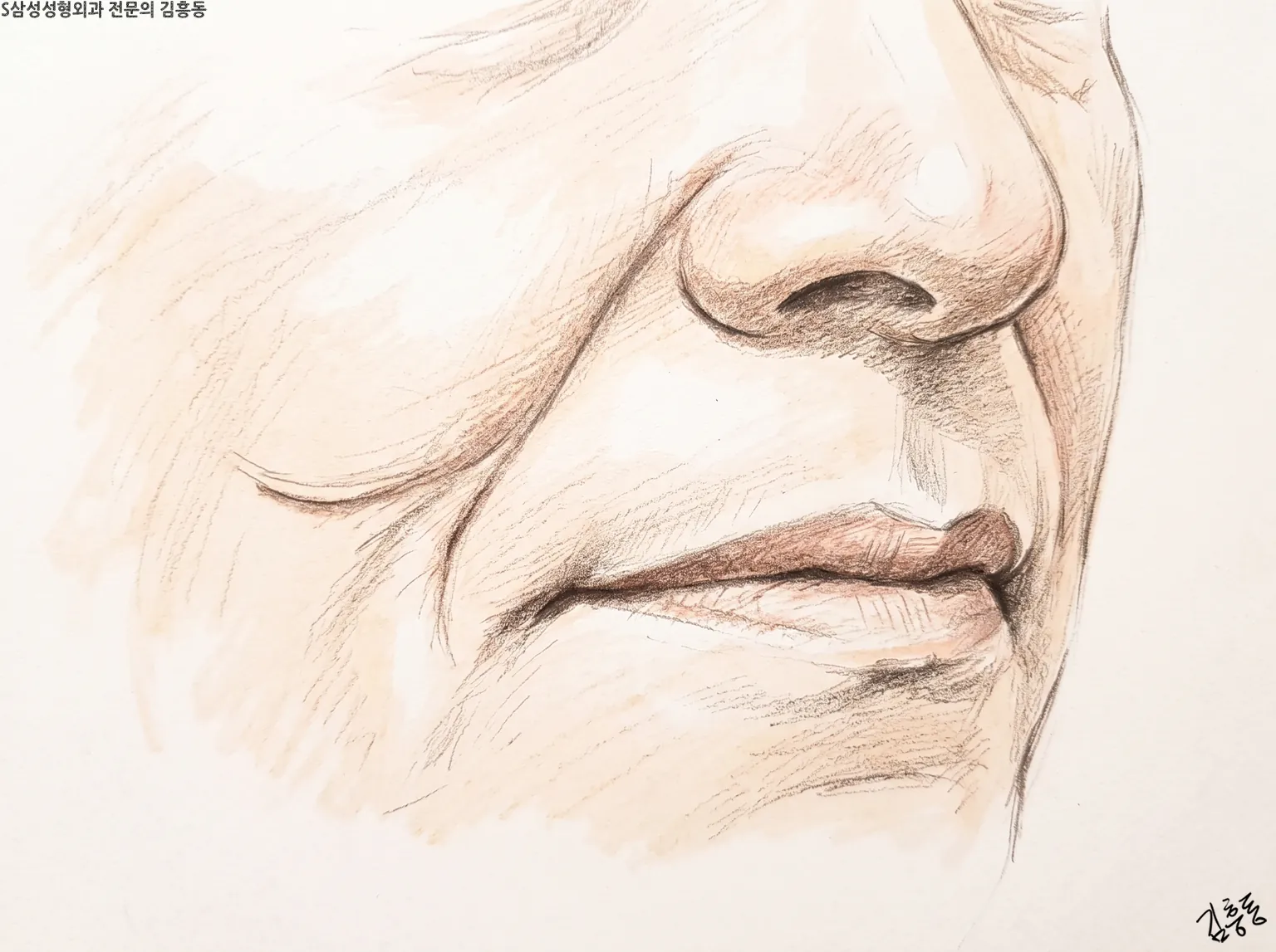 코 옆에서 입꼬리 쪽으로 이어지는 주름을 가까이에서 그린 코와 입 주변 소묘 그림
