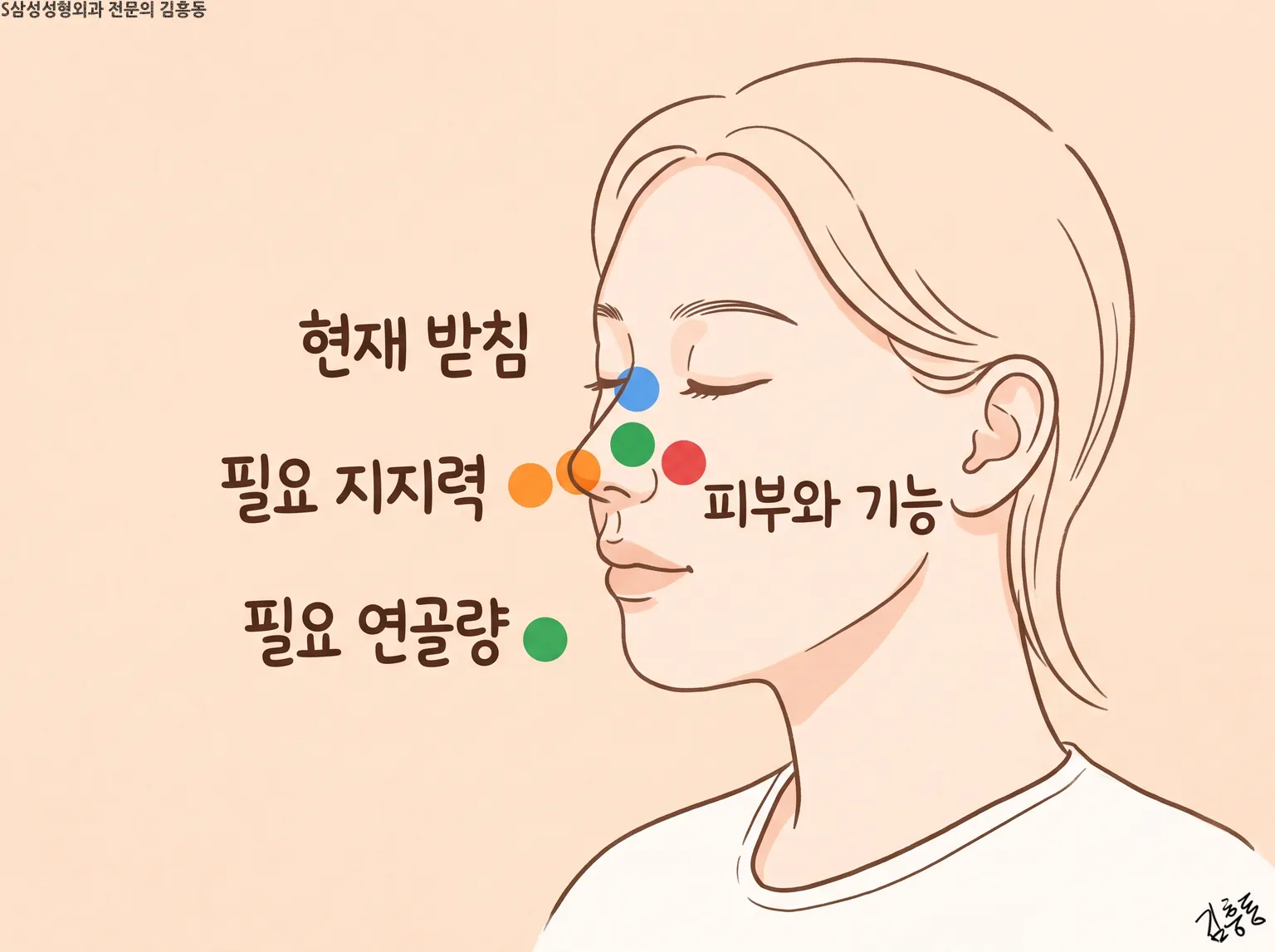 「현재 받침」 · 「필요 지지력」 · 「필요 연골량」 · 「피부와 기능」을 색 점으로 짚은 눈 감은 여성 옆얼굴 그림