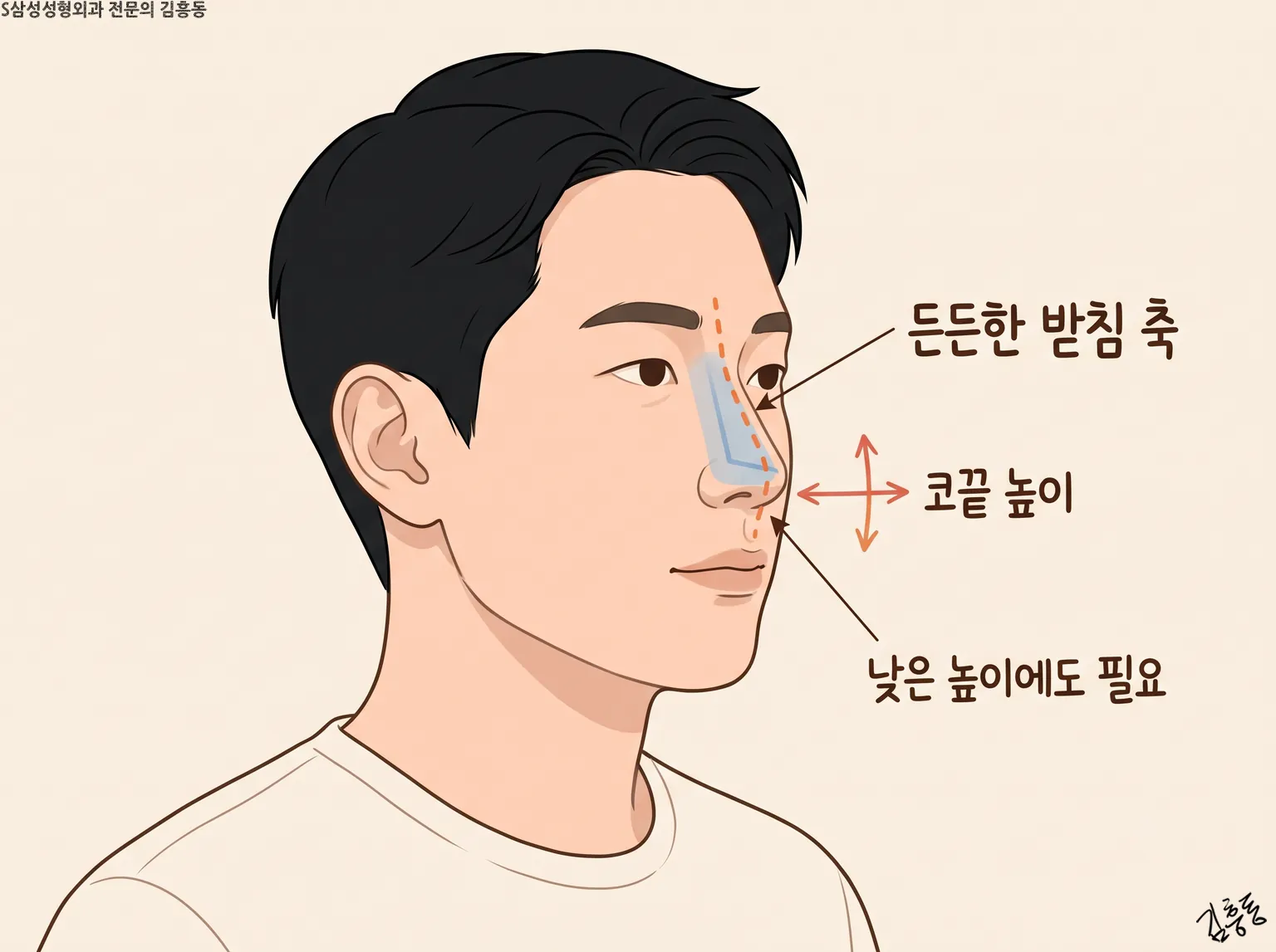 「든든한 받침 축」 점선과 「코끝 높이」 화살표, 「낮은 높이에도 필요」를 표시한 남성 옆얼굴 그림