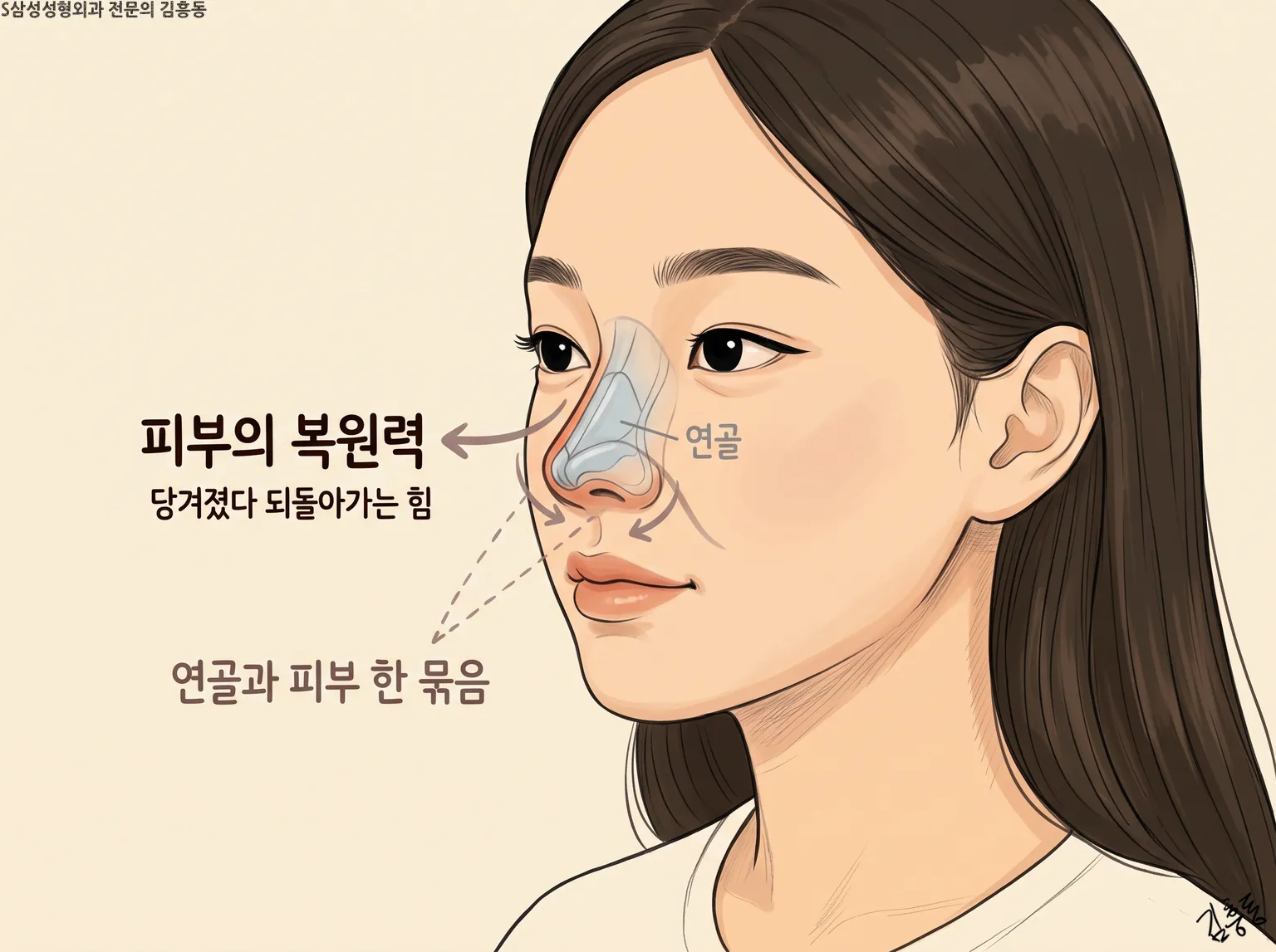 피부의 복원력 · 당겨졌다 되돌아가는 힘 · 연골과 피부 한 묶음 글자를 적은 여성 얼굴 그림